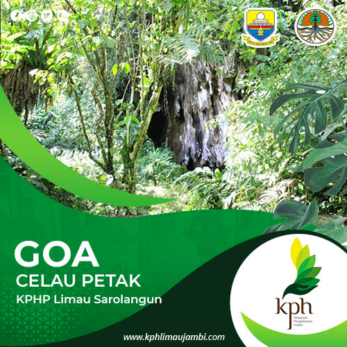 Goa Celau Petak KPHP Limau Sarolangun